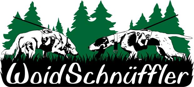 zwei Hunde, Oscar links und Ronja rechts stehen sich suchend gegenüber. Im Hintergrund Tannenwald